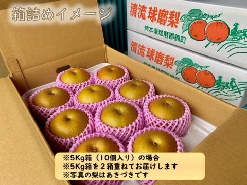 昨年大好評！『清流球磨梨』あきづき　約10kg【5kg箱(5〜14個入り)を2箱重ねてお届け】