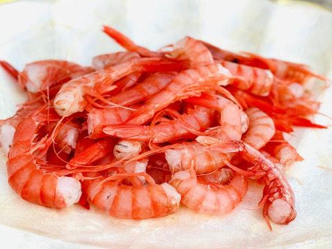 手間を省いて、美味しさそのまま【シマエビ小・無頭】400g