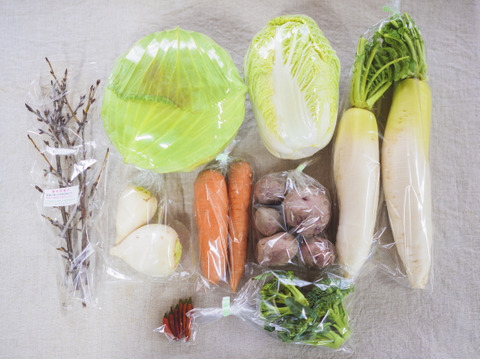 旬の有機野菜Mセット　しあわせ野菜畑（有機JAS）