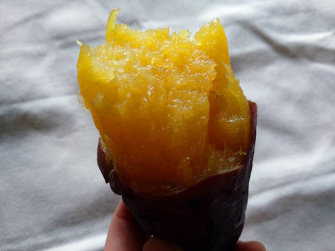 【訳あり】追熟後、ねっとり甘い！砂丘の紅はるか(３kg)