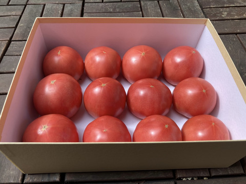 トマト嫌いも食べやすい？！島原産大玉トマト(1.5キロ)