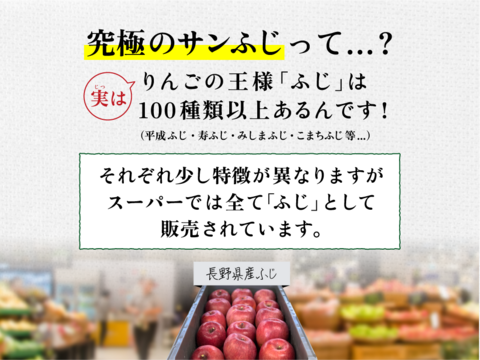 りんごGP2025最高金賞1位🎊【究極のサンふじ】コスモふじ 3キロ箱 商品ID52651 長野県 信州 安曇野 リンゴ 幻 幻のリンゴ  希少 旬 甘い ふじ サンふじ 6玉〜15玉