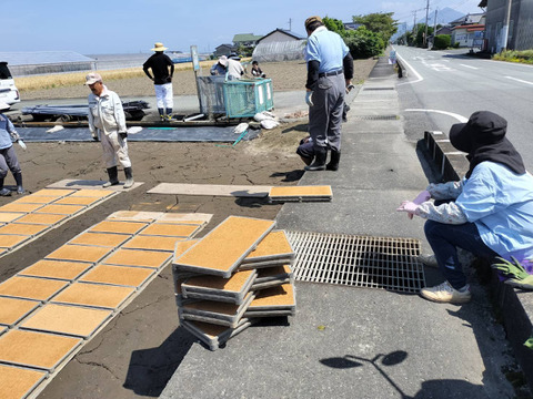 【予約販売】農薬・化学肥料不使用【森のくまさん】　玄米（10kg）令和5年産　新米