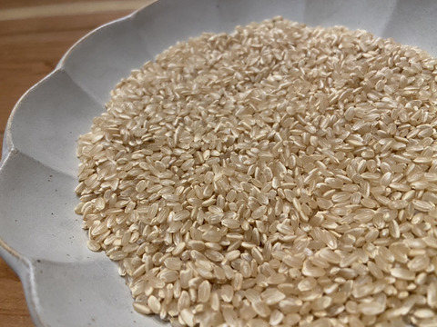 ひとめぼれ【玄米10㎏】　農薬・肥料不使用　天日干し！