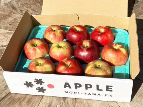 お菓子やジャムに大人気🍎紅玉🍎訳ありご家庭用 3kg 化学肥料不使用・低農薬で皮ごと安心✨青森県特別栽培認証