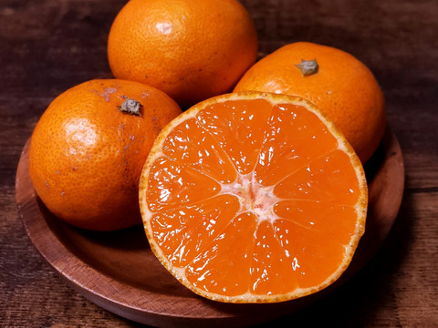 【ご家庭用 Sサイズ以下小玉10kg】甘味凝縮 有田みかん