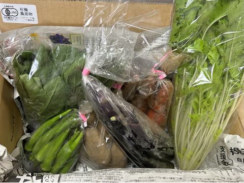 【おまかせ】オーガニック野菜セット(6品)
