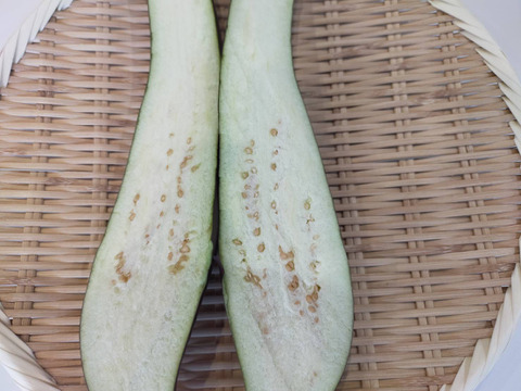 しまトラ♪なす（ふわとろ長）2Kg