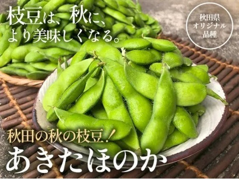 お米５kgとにんにく（白黒）＆季節野菜セット（旬枝豆）