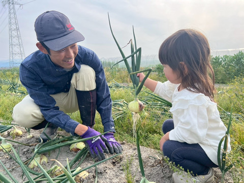 【自然栽培】旨み凝縮！徳島県産 農家の愛情たっぷり玉ねぎ(晩生)5kg