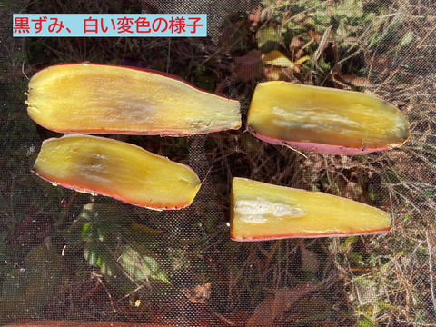 【訳アリ・超特価】【自然栽培】　さつまいも（シルクスイート）５kg　S～3Lのmix　農薬不使用・無肥料栽培　【岐阜県産】【収穫時期2025年10月上旬】400円／1kg