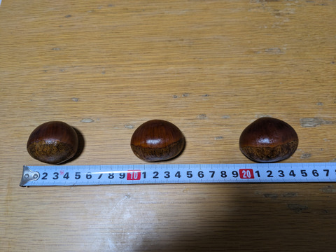 信州産小布施栗1kg　2~4Lサイズ