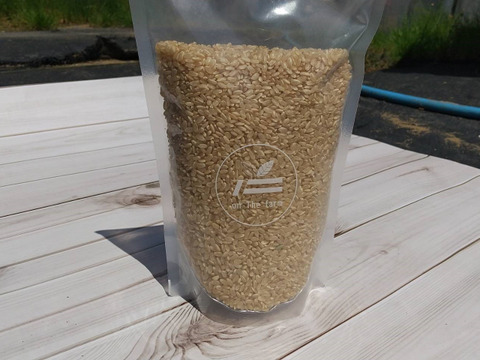 モチっと！コシヒカリ玄米10ｋｇ(5kg×２袋)
