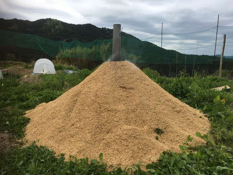乾燥生落花生1kg【ジャンボピーナッツ・極大粒・殻付き】【農薬・化学肥料不使用】【天日乾燥】【令和6年・岐阜県産】