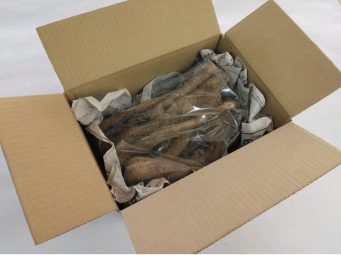 2kg⭐️訳あり⭐️自然薯⭐️《超特価！》