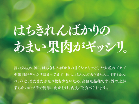 そら甘平【天空の甘平】愛媛産みかん 3kg
