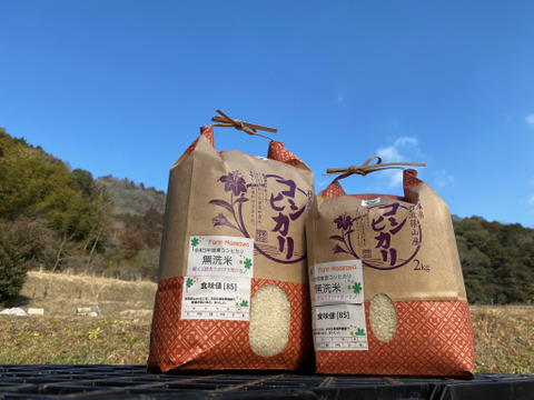 🌟新米❗️無洗米の丹波篠山令和6年度産コシヒカリ🌾5kg🌾9月8日着