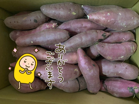ねっとり甘い！熟成紅はるか　Sサイズ　5kg さつまいも