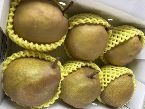 まるせい果樹園のラ･フランス　2kg箱　玉数指定不可　nr4