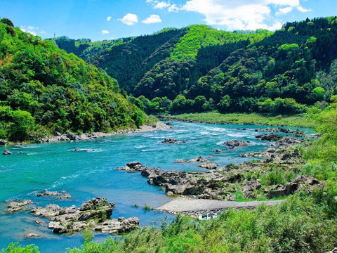 【南国土佐】完熟ミニトマト１ｋｇ 農薬不使用 自然栽培 四万十産