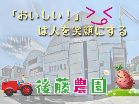 ネットリ甘ーい紅はるかを愛情価格でお届け！(10kg）