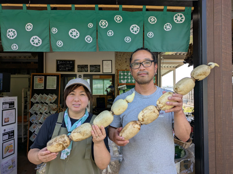 【 2025年野菜ソムリエサミット 金賞 】野菜のプロが認めた美味しさを、掘りたて直送でお手元へ！！ すずきの「口福れんこん」 松  4キロ