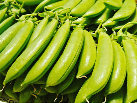 採りたて直送！！絹さや＆スナップエンドウ500g