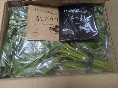 三宅島特産のあしたば【レギュラーコース5パック】