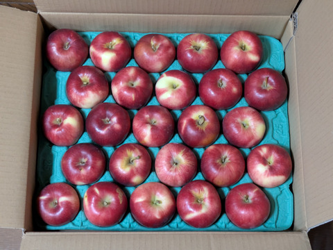 シナノプッチ5キロ箱 訳あり品 商品ID98182 長野県 信州 安曇野 リンゴ 幻 幻のリンゴ 予約 希少 旬