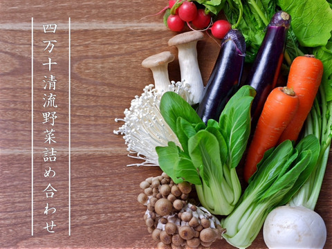 【ゆ～ゅさま専用】奥四万十越冬白菜２玉（３ｋｇ）＋四万十清流野菜詰め合わせセット５～６品２セット 農薬不使用 自然栽培 四万十産