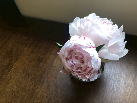 うちやま農園のシャクヤク（白・ピンク）　10本入り