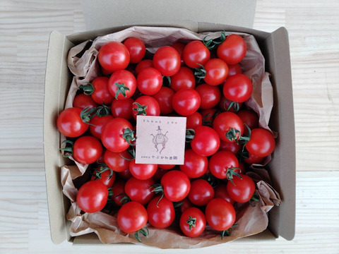 新品種！しっかりとした食感！甘味と酸味！「276」1kg