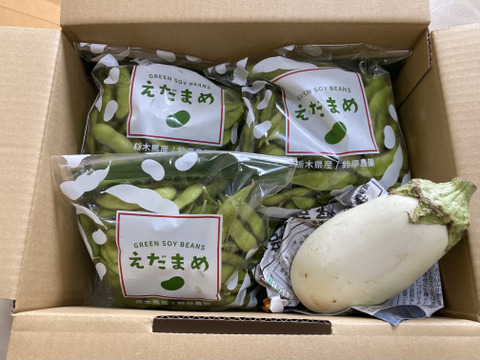 枝豆 夏ギフト】【朝どれ】手が止まらない！濃厚でコクのある枝豆【枝