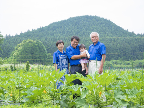 【福袋】日頃の感謝を込めてダンボール80サイズぱんぱんで自然栽培野菜8〜10品目セットのお届けの為箱が変形しているかもしれませんがご了承下さい。
