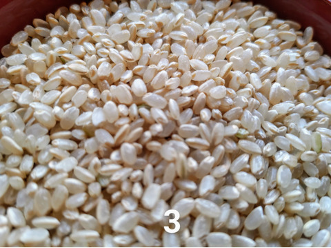 【エコ】【 ３分づき米＊５ｋｇ】✨米穀類🥇１位✨食べチョクAW2023【栽培期間中農薬不使用コシヒカリ】有機質肥料のみ使用🌱1年間🌱化学肥料・除草剤・動物性堆肥不使用【令和７年産】一等米