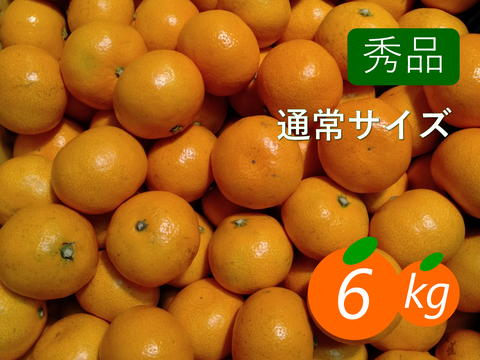 【秀品】早生みかん 6kg(通常サイズ) ひとくちで恋する♡濃い味みかん♪