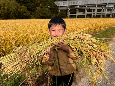 【青森・外ヶ浜ファーム直産】新米 はれわたり 10kg《大大大好評！！》地産地消・低農薬米