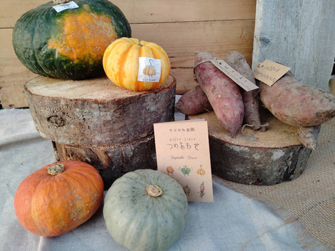 かぼちゃ・さつまいも食べ比べセット！4.5kg
