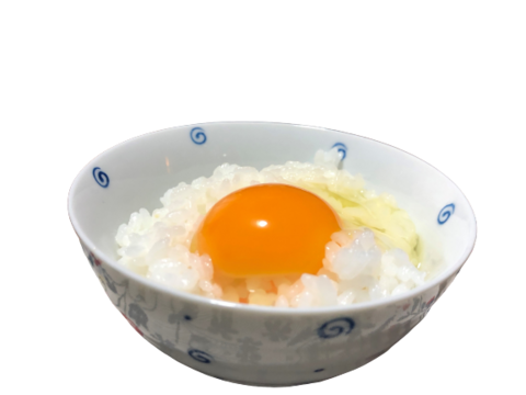 【大寒卵】★平飼いで育てた有精卵12個入り★
小振りながらも濃厚な土佐ジロー卵 　仁淀ブルーの町いの町からお届け