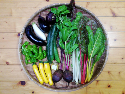 農薬 化学肥料不使用 ハチミツ中瓶付き野菜セット ５ ７種類の野菜 ８０サイズ箱 愛媛県産 食べチョク 農家 漁師の産直ネット通販 旬の食材を生産者直送