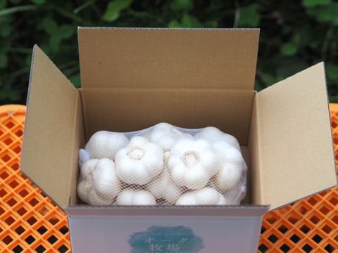 素揚げが大好評！田子町産にんにく【お試し5玉】