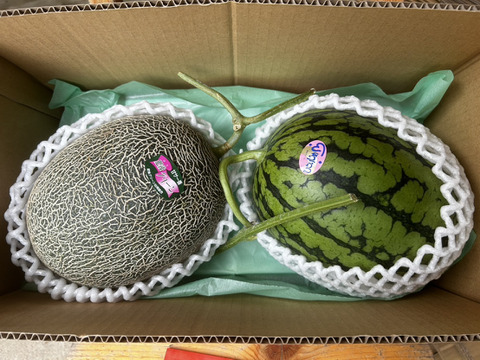 【限定30セットお試し販売】すいか（ひとりじめ）＆メロン（肥後グリーン）