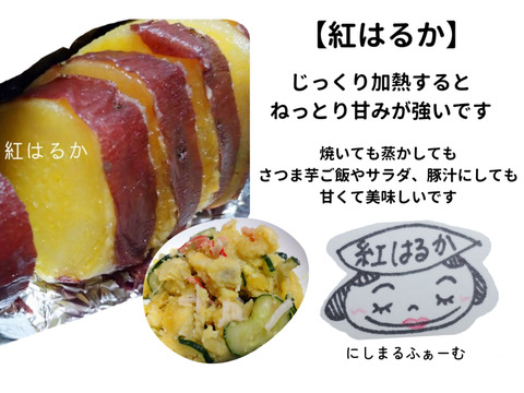 【訳あり】追熟後、ねっとり甘い！砂丘の紅はるか(３kg)