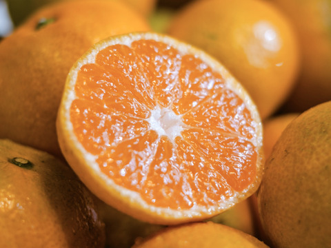 老舗農家が見極めたプレミアム【愛媛みかん10kg】【天皇杯受賞産地】愛媛県川上産 贈答用【冬ギフト】