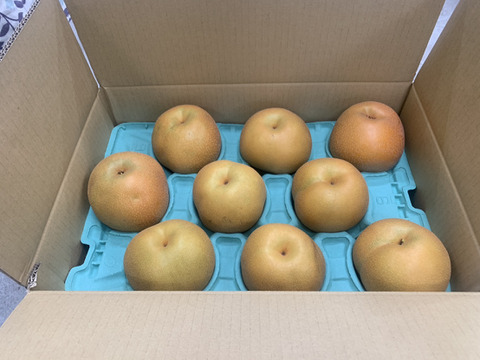 濃厚な甘さ】富山県呉羽梨-豊水-5kg-7〜14玉【訳あり！大特価品】傷