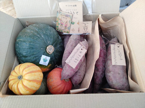 かぼちゃ・さつまいも食べ比べセット！4.5kg
