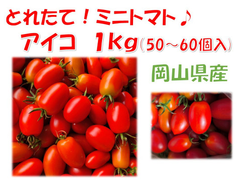 皮パリ食感！アイコ『岡山県産』１ｋｇ（概ね50～60個程度）