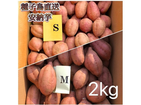 【絶品】aimo農園｜種子島産 安納芋 S&M 混合2kg(箱別)