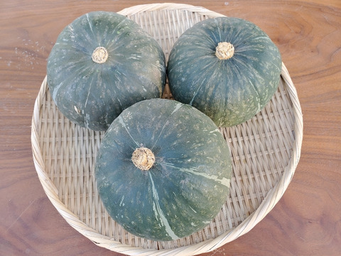 かぼちゃ(中)【５kg】