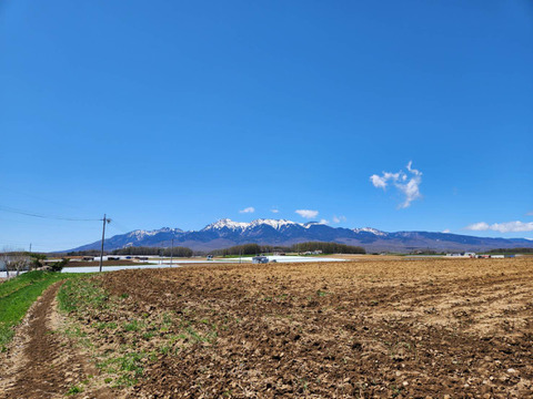 八ヶ岳高原の恵み満載！新鮮野菜5種詰め合わせセット